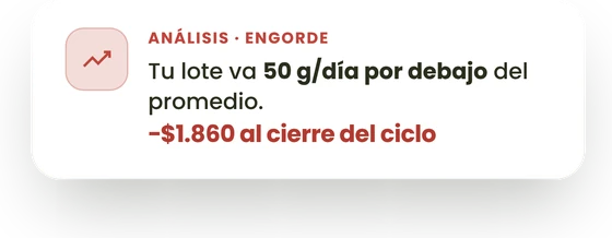 Aviso de Ganady: tu lote va 50 g/día por debajo del promedio. −$1.860 al cierre del ciclo